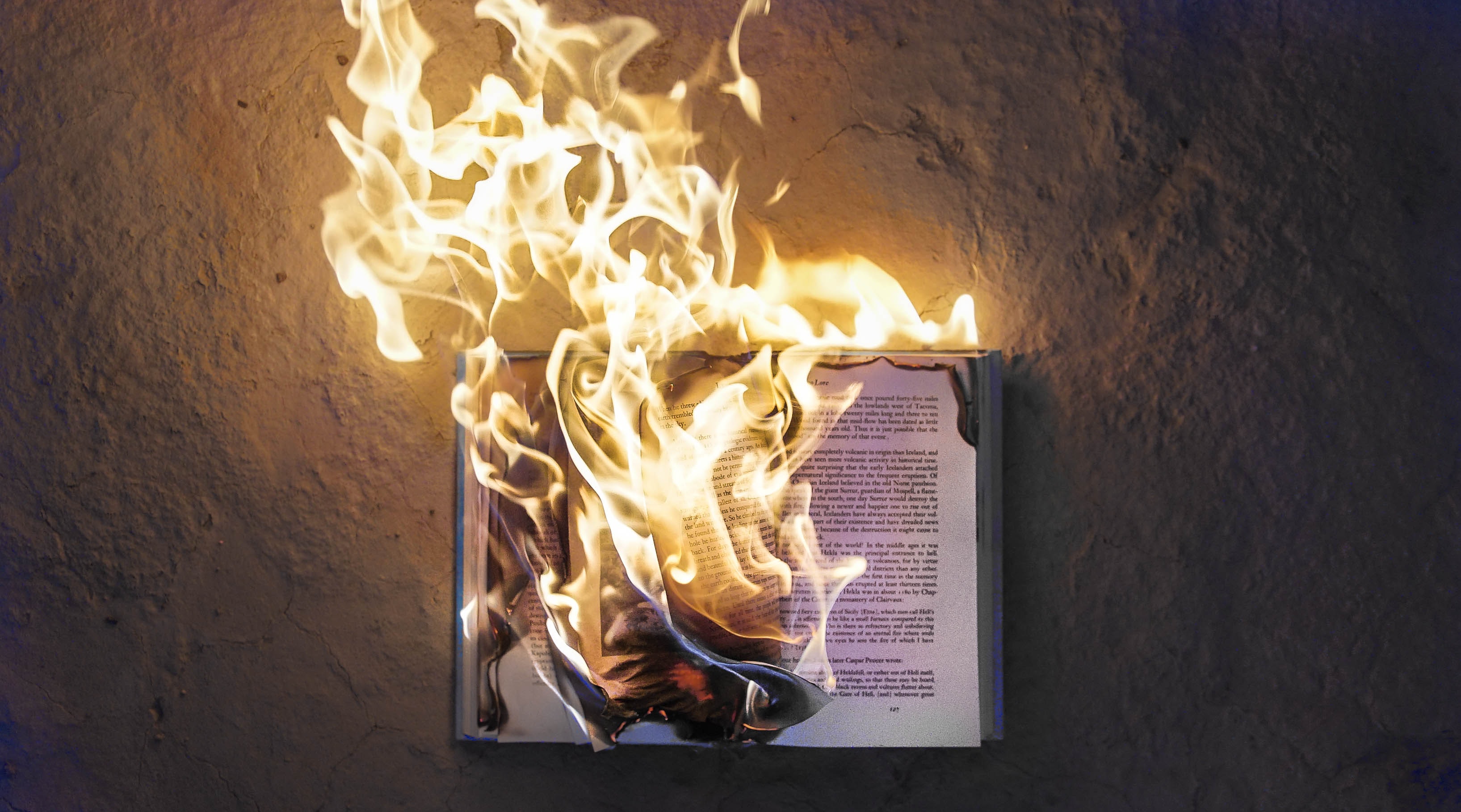 burning book